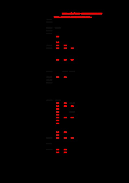 年末年始営業時間